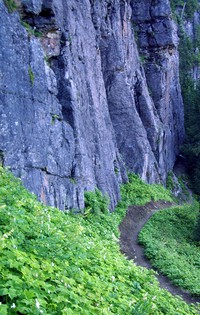 ipsut creek