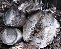 log ends