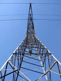 me mantus food