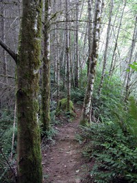 most pleasant trail