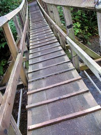 necarney creek footbridge at short sands