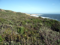 north of Santa Cruz