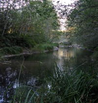 off the Middle Fork