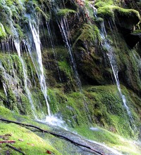poo poo trail water