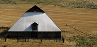 silver barn