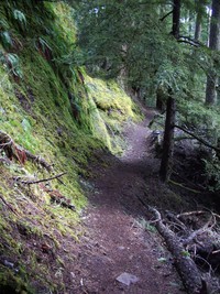 snoquera falls