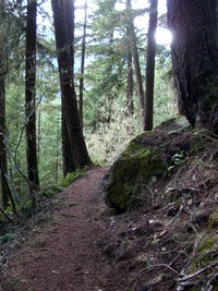 snoquera falls