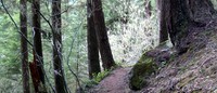 snoquera falls