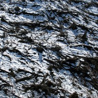 snowy logged hill