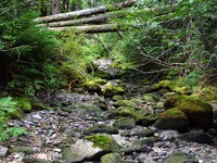 somewhere past Greenwater
