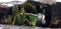 spikey dock