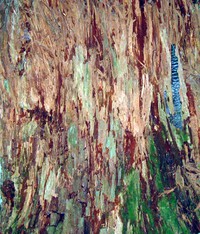 stump pattern