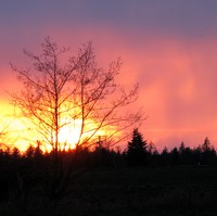 sunset