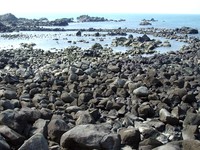 imgp1972