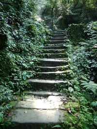 imgp2002