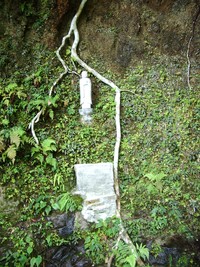 imgp2003