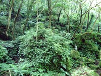 imgp2006