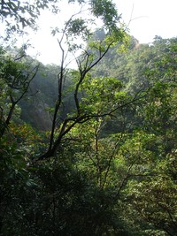 imgp2008