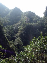 imgp2011