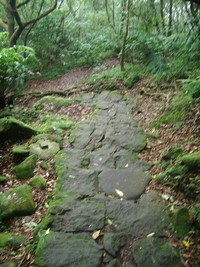 imgp2065