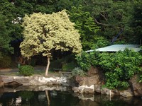 imgp2108