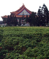 imgp2115