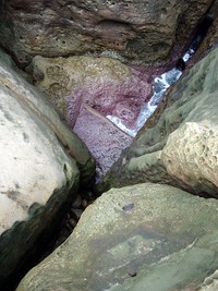 imgp2176