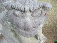 imgp2234