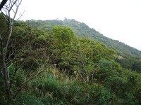 imgp2277
