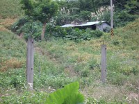 imgp2324