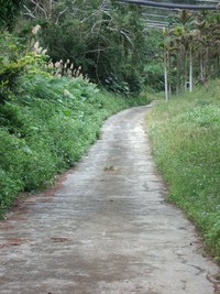 imgp2325