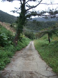imgp2326