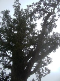 imgp2389