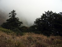 imgp2397