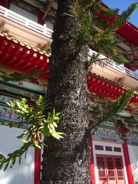 imgp2416