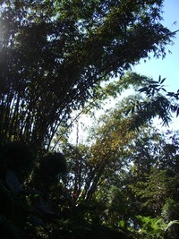 imgp2426