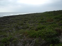 imgp2450