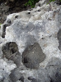 imgp2459