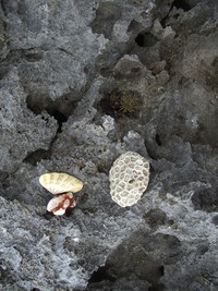 imgp2463