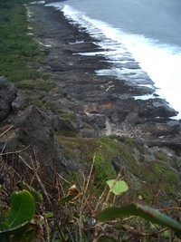 imgp2492