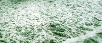 the blue Pacific