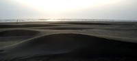 tiny dune at beach