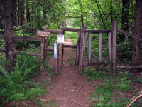 top of 15 railroad grade trail on tiger mt