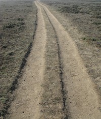 track at sonoma coast state beach