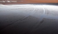 tracks in sand