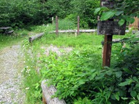 unused picnic table