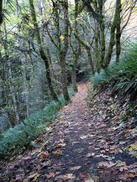 upper twin falls trail