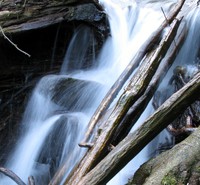 water on rocks and branches