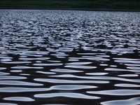 water ripples