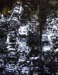 wave patterns